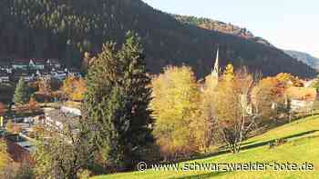 Gemeinderat Höfen: Räte ärgern sich über steigende Kosten