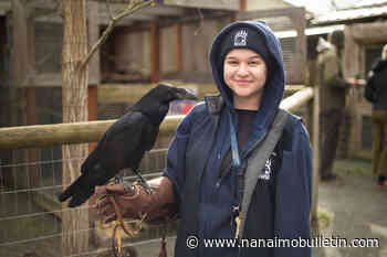 VIDEO: Island rehabilitation centre gives spring tips on helping injured wildlife