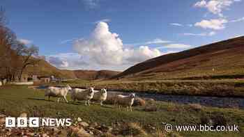 National park authority supports mains plan
