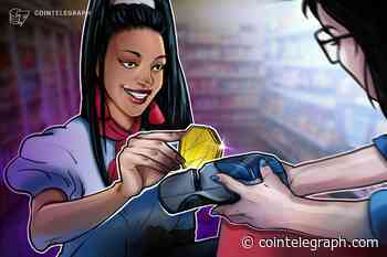 Mauritius planning to launch pilot project for retail digital rupee late this year