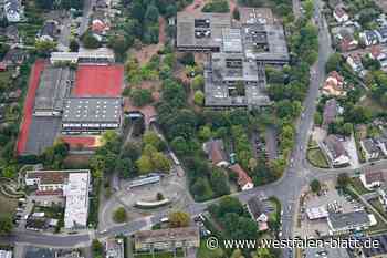 60.000 Euro für 15 Bäume