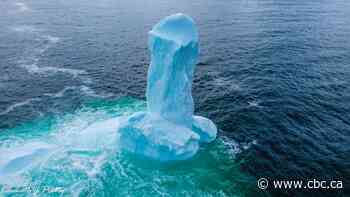 Iceberg lovers go wild over viral photos of the 'dickie berg' off Newfoundland's coast