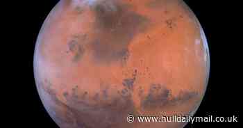 Chinese rover finds liquid water on Mars