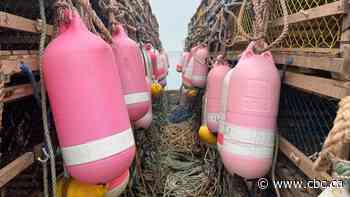 Lennox Island, federal government strike deal for 2023 moderate livelihood lobster fishery off P.E.I.