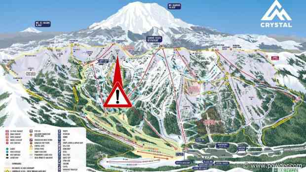 Look: Monster In-Bounds Avalanche Snaps Trees Like Toothpicks