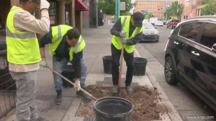 City of Albuquerque celebrates Arbor Day by planting trees