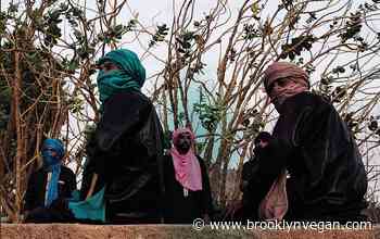 Imarhan plot US summer tour