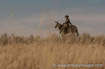 Colter Wall announces new LP 'Little Songs,' shares cover of Hoyt Axton's "Evangelina"