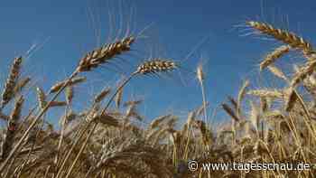 Streit über ukrainische Agrarimporte laut EU-Kommission beigelegt