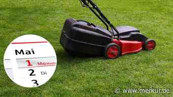 Rasen im Mai besser nicht mähen: Garten-Expertin verrät den Grund