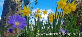 National Gardening Week! Amelia Cudzikova, Heathside School