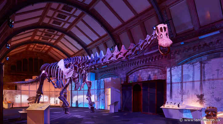 Tickets Alert: Out of hours Titanosaur tours at the Natural History Museum
