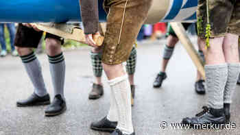 Die neuen Maibäume im Landkreis Starnberg