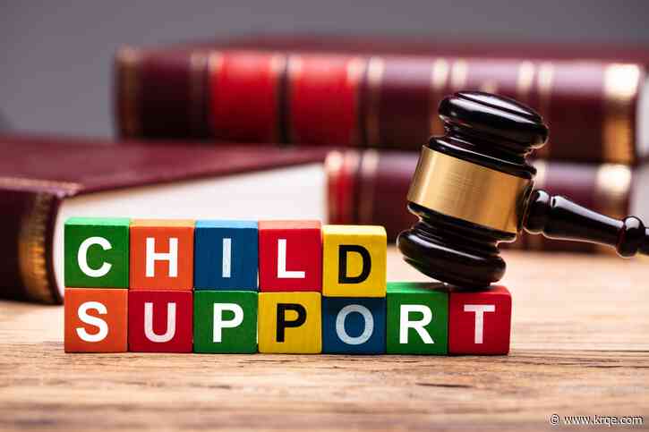 New Mexico has new web portal for child support