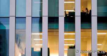 N.B. businesses bounce back with workers returning to the office