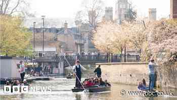 Local elections 2023: Might congestion charge plan decide Cambridge vote?