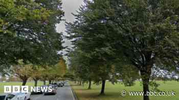 Bristol Downs parking fee plan to deter van dwellers