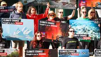 Woodside's own send another warning shot over climate action