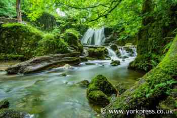 North Yorkshire: 7 waterfalls to visit as reviewed on Tripadvisor