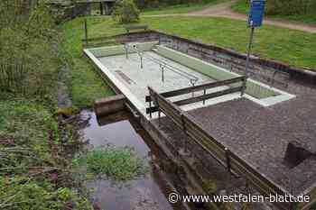 Verlegung des Wassertretbeckens in Brakel ratsam?