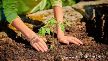 Mondkalender Mai 2023: Was Sie in diesem Monat im Garten erledigen sollten