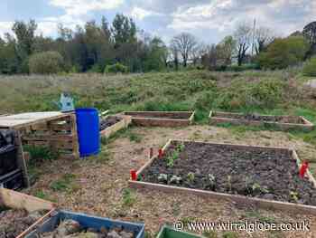 Wirral burial ground creates a place for growing through grief