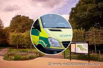 Boy found with 'stab wounds' after Cassiobury Park attack