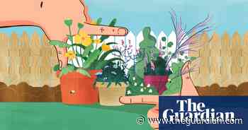 UK gardens: get growing now for a budget spring makeover