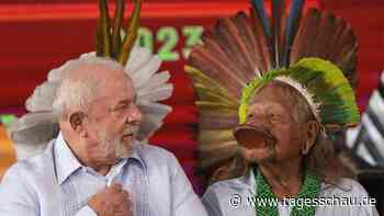 Brasilien: Sechs neue Schutzgebiete für Indigene