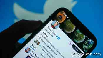 Six months into Elon Musk's Twitter: The fall of verification and birth of Twitter Blue in one very long chart