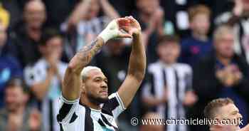 Joelinton 'one of the best players in the Premier League' says former Newcastle United striker