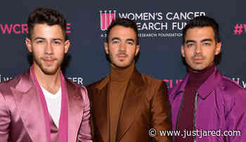 The Jonas Brothers Have Released a New Music Video!