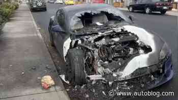 Tesla owner says man set his EV on fire, and Sentry Mode captured it on video