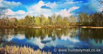 Bird flu outbreak worry at one of East Yorkshire's most popular nature reserves