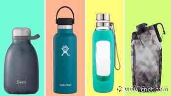 Best Reusable Water Bottles in 2023     - CNET