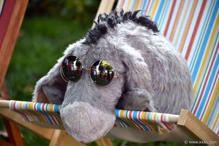 How to get to Eeyore's 2023 birthday celebration in Austin