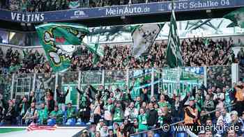 Werder Bremen im Liveticker gegen FC Schalke 04: Ole Werner erwartet „eine große Aufgabe“