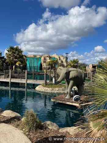 A Crazy Good Time by Liam Gawn, Wallington County Grammar School