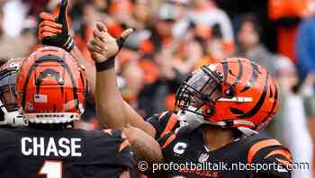 Bengals fan trolls NFL by making coin flip before announcing selection
