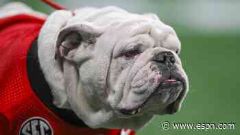 Philly Dawgs: Eagles add Ringo to UGA draft haul