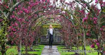 Bank Holiday weather forecast says warm temperatures and sunshine for most