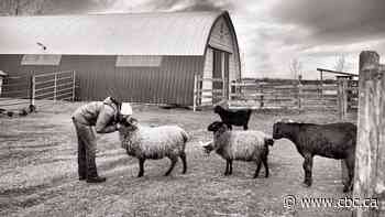 Alice Sanctuary set to host tours, events, volunteers again after county approves appeal