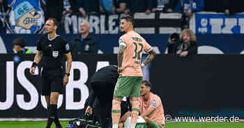 Friedl: "Das klingt wieder bescheuert!"