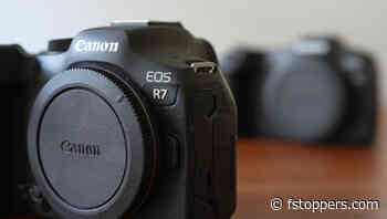 Which of These Canon Cameras Is Right for You?