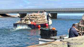 Fiona's impact still not fully known for these P.E.I. lobster fishers