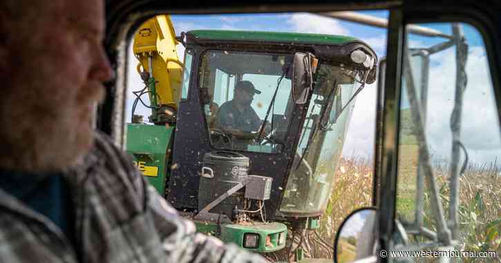 John Deere Corporate Might Have Reason to Panic, But Farmers Will Love What's Happening