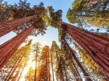 How Martech Vendors Can Contribute to Board Meeting Discussions