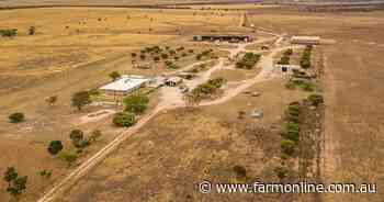 Sold for $96 an acre, look how this sheep station makes a buck