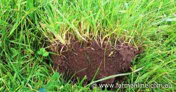 Records still made as demand for farm land remains red hot