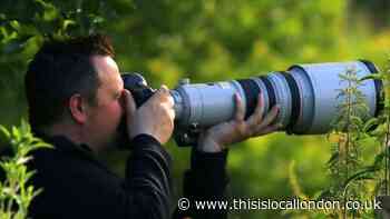 The beauty of photos by Baheshta Fourgh, Gumley House School